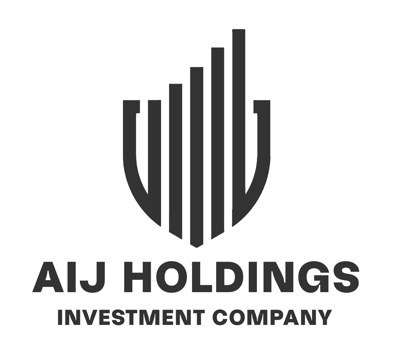 AIJ Holdings