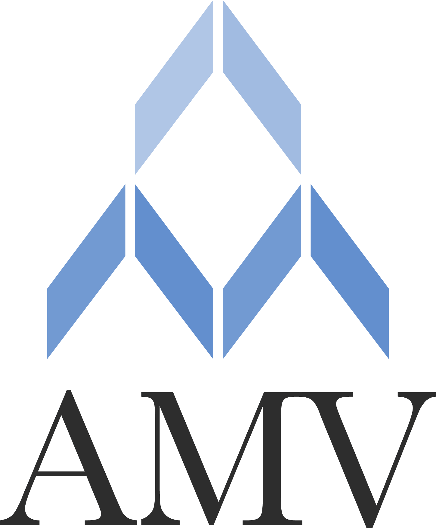 Asset Management Ventures