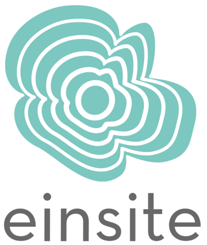 Einsite